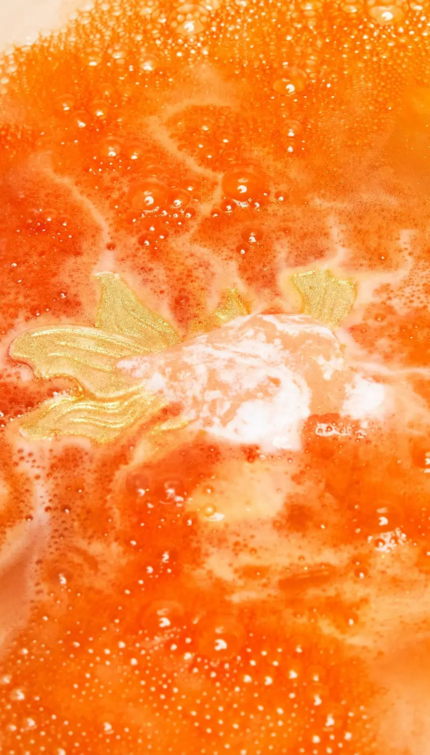 Goldfish - Image 6