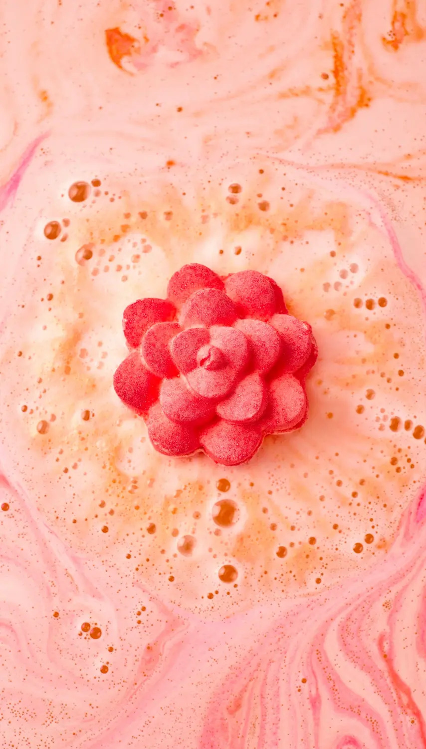 Comforter Rose - Image 4