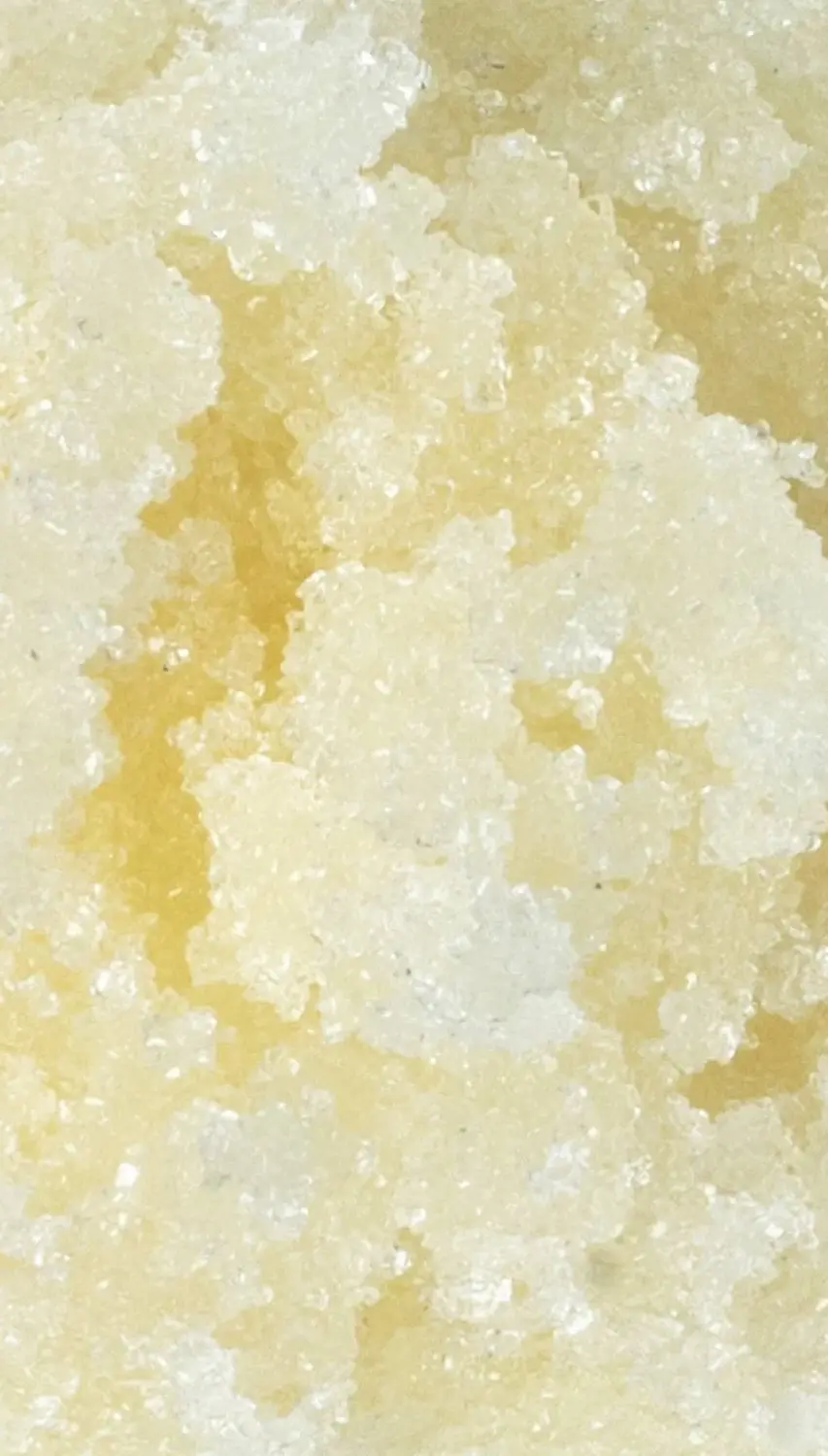 Honey - Image 3